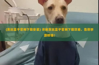 (贪玩盒子官网下载安装) 详解贪玩盒子官网下载攻略，告别手游烦恼！