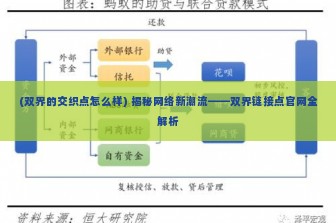 (双界的交织点怎么样) 揭秘网络新潮流——双界链接点官网全解析